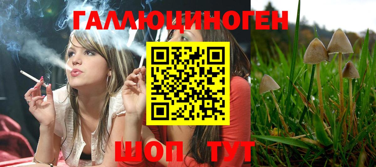 Псилоцибиновые грибы GOLDEN TEACHER  Вход с VPN  Елизово 